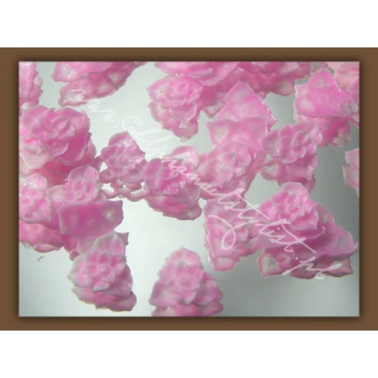 Kwiatki z liściami - Light Pink