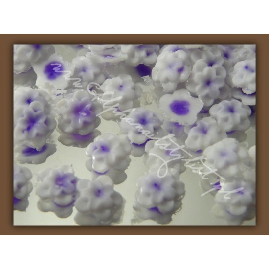 Kwiatki podwójne - White/Purple
