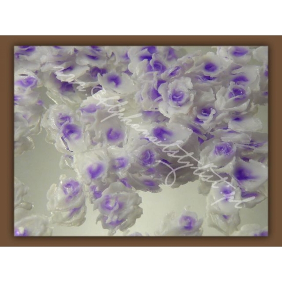 Goździki - White/Purple