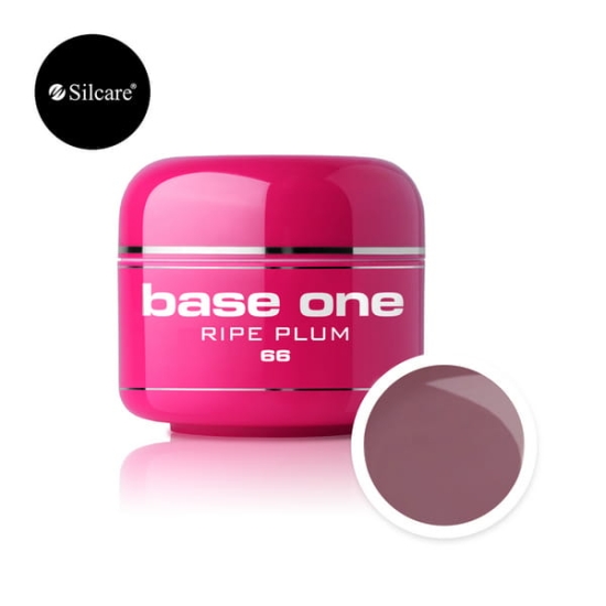 Base One Color - 66