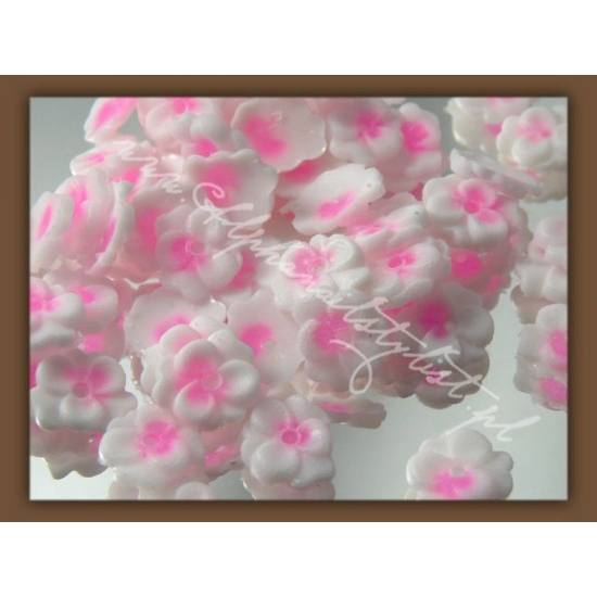 Kwiatki z pięcioma płatkami - White/Pink